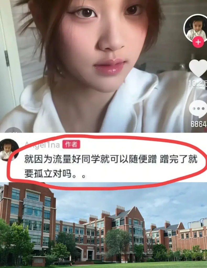 为什么13岁的甜馨会被同学又蹭流量又孤立？看看她就读的这所学校就知道了。那可