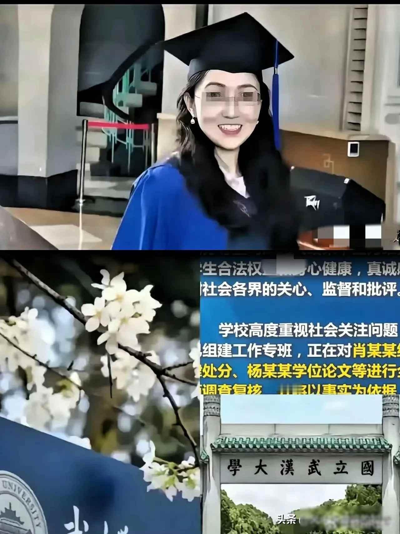输的一塌糊涂！杨某媛告武汉大学这事终于有了结果，法院判她所有诉求都不成立，这