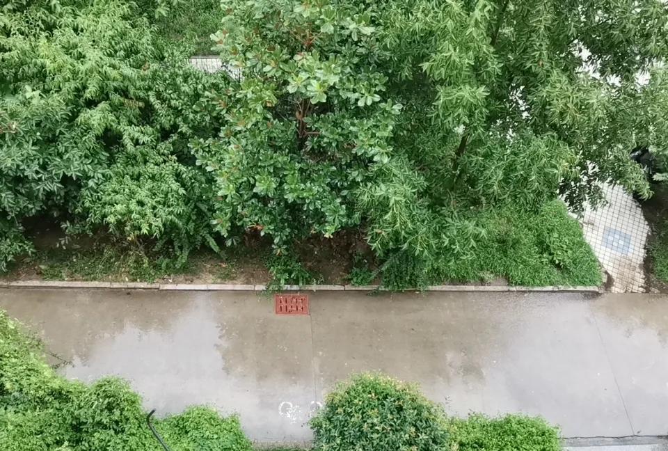 雷声滚滚、狂风大作、暴雨如注，这是威海今年以来最大的一场雨。地面很快成了汪洋