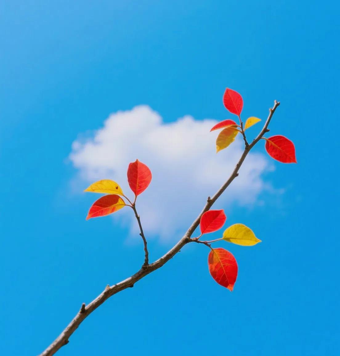 25年模范丈夫，撕开面具我吐了！不是所有男人都爱找刺激？我看未必！