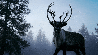 谁懂开上汽奥迪A5LSportback闯冰雪秘境的底气？松软雪层+结冰路面的复杂