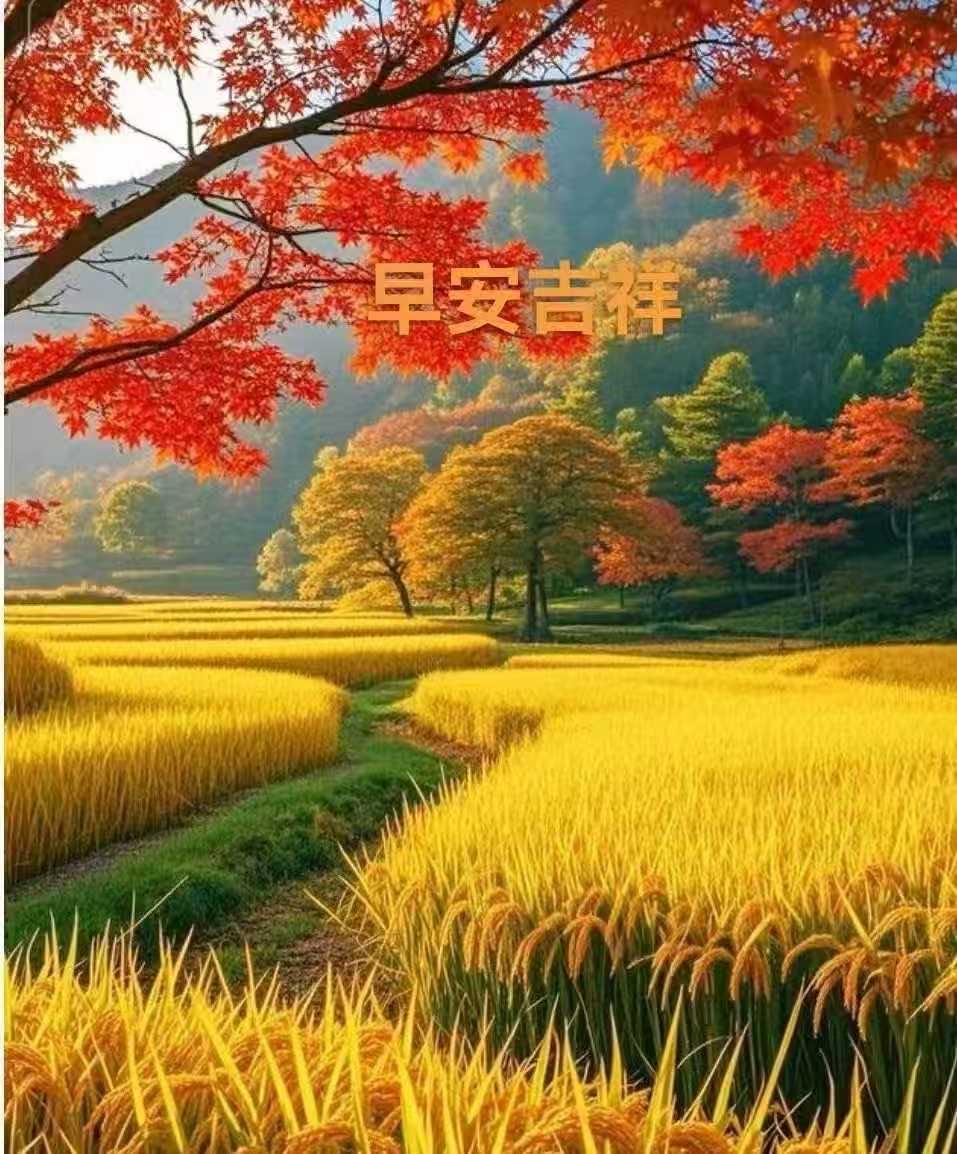 清晨起床又一天，首先問候送平安，期待明天更美好，幸福安康同時在，快樂吉祥