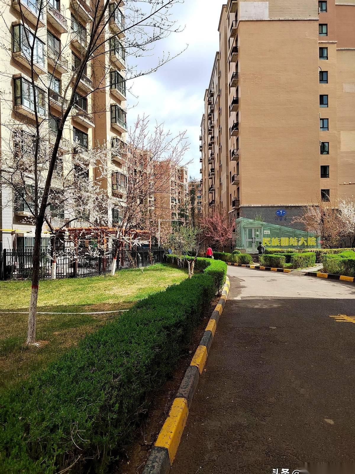 乌鲁木齐，家里的沙发自己动了。我人在这头，根本没碰它。紧接着，头顶的吊灯，开始