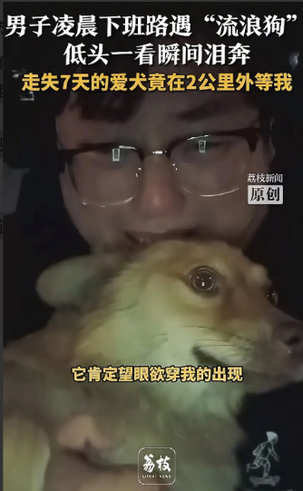 泪目！广东佛山，一男子心爱的狗走失整整7天，他四处张贴告示，跑遍街头巷尾，始终不
