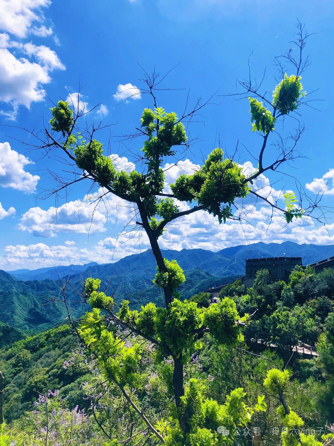 天蝎座在恋爱里很双标就是她喜欢怎么推都推不走的恋人，但是人一推她她就走，只
