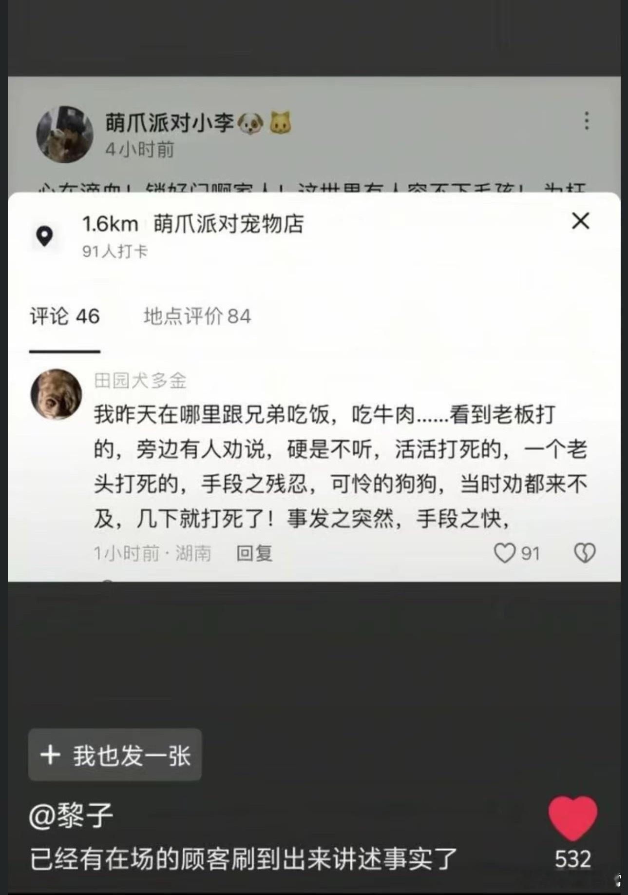 金毛餐馆蹭空调被打死有网友反映饭店老板打墩墩的时候，他们就在场，当时很多顾客都劝