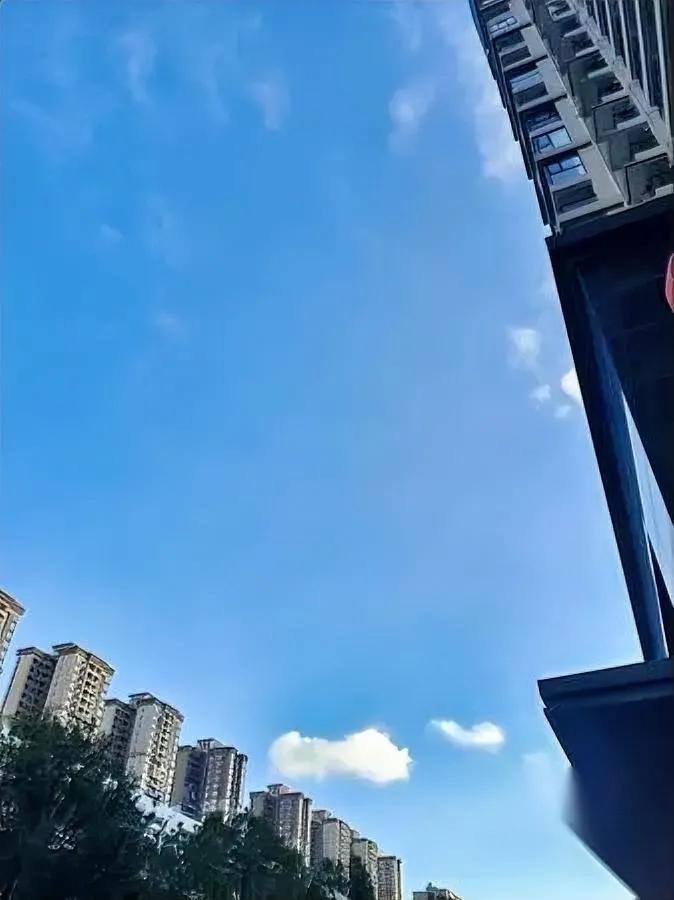 公司要动工资了。不是涨，是降。这下全办公室的人都绷不住了——之前三个