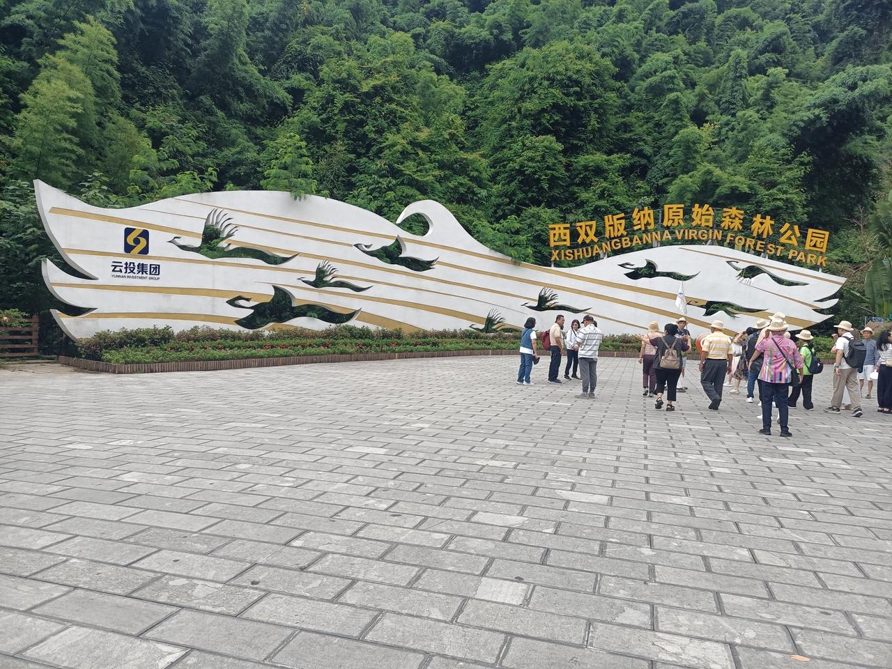 打卡国家级自然保护区——西双版纳森林公园“放飞孔雀”。（图片来源：老山兰随手拍）