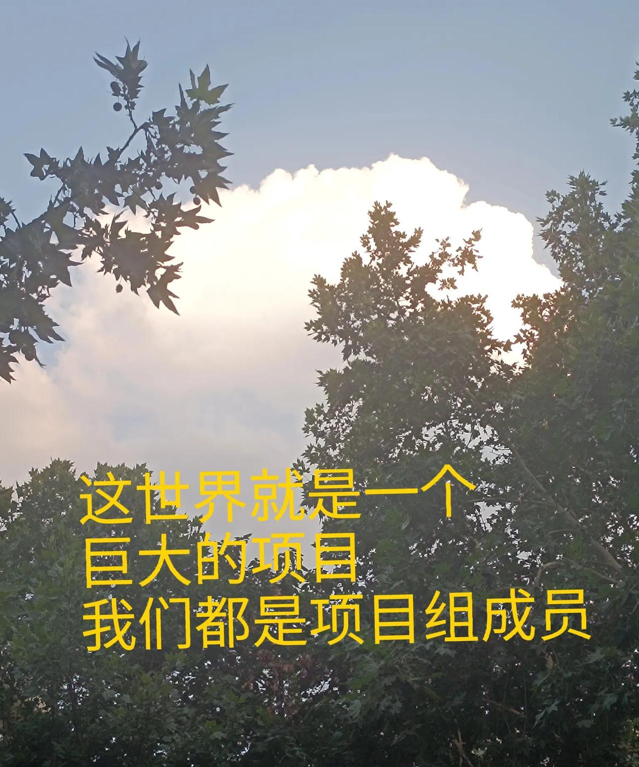 暑期档，这么多吗？才发现今年暑期档电影挺厉害的嘛。不过现在已经提档了好几部