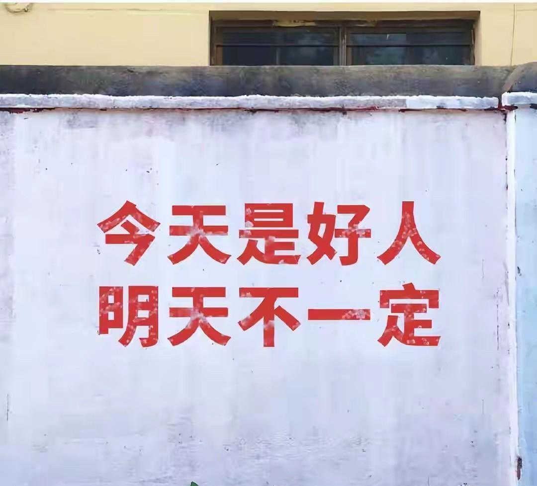 今天遛狗走到高层院子里发现平常小猫睡觉的那个地下车库入口被物业安上了一块一米左右