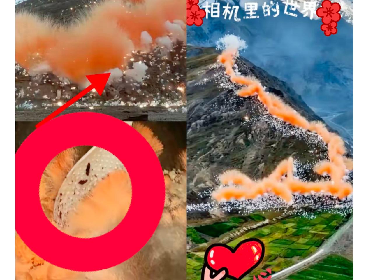 谁能想到，号称“户外圈顶流”的始祖鸟，会用一场烟花把“环保人设”炸得稀碎？我那痴