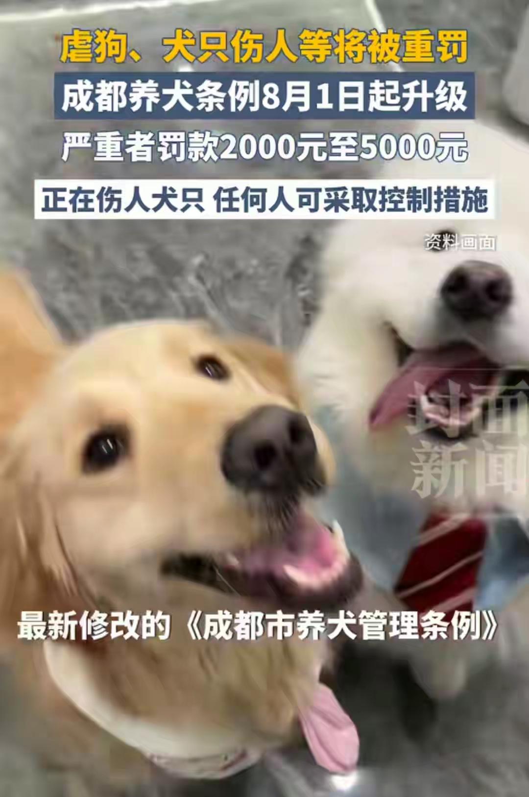 世上本无事，因狗多扰之!善哉!善哉!