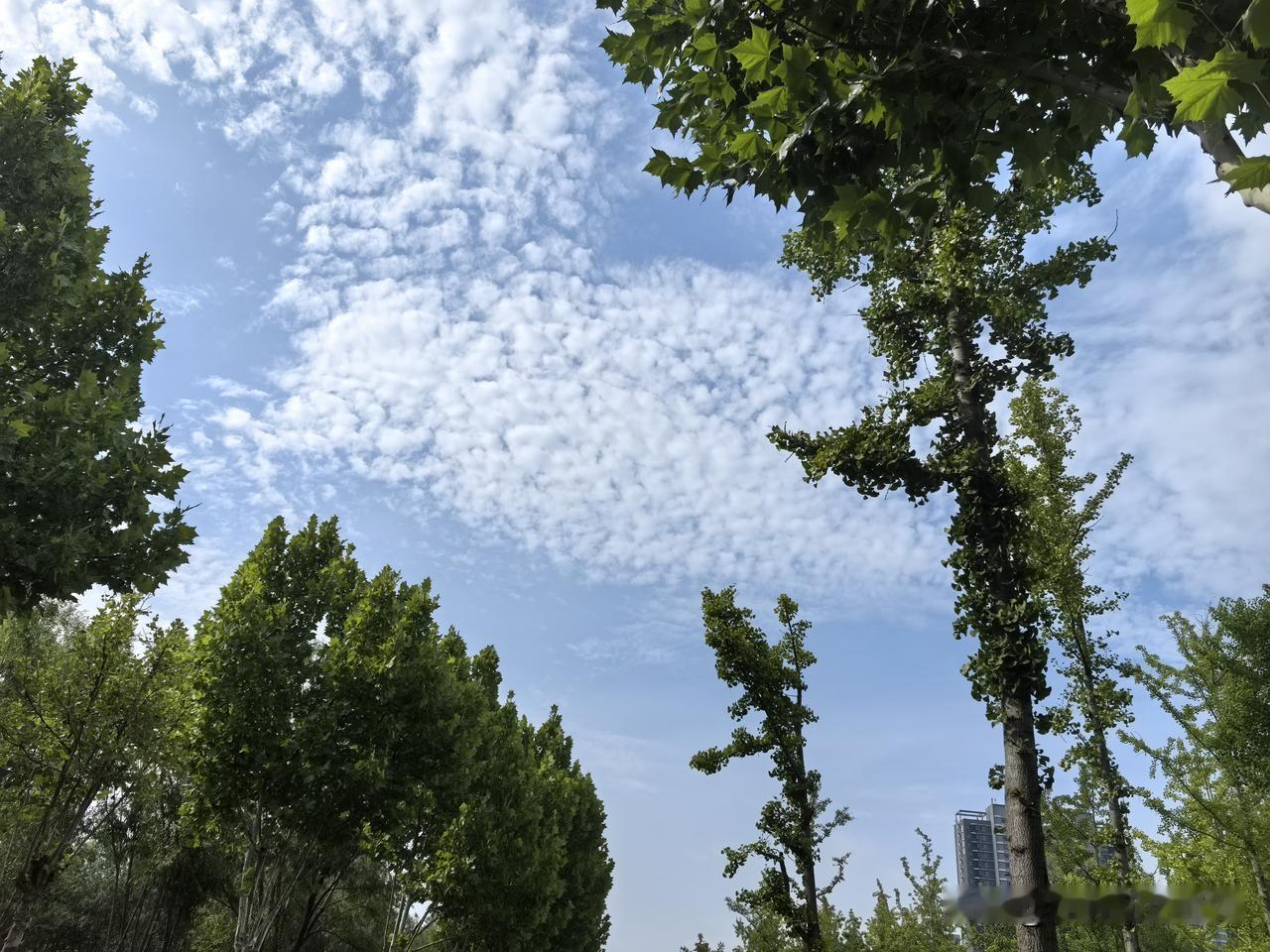 朋友老张两口子，一个在国企，一个是体制内。工资都不低。膝下只有一个女儿，明年大