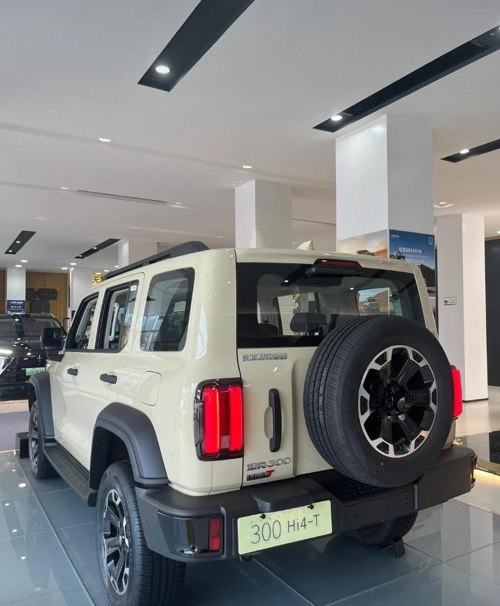 老公都说好几次了，“跟我家车位隔的不远那辆坦克300是女的一直在开。”不知他