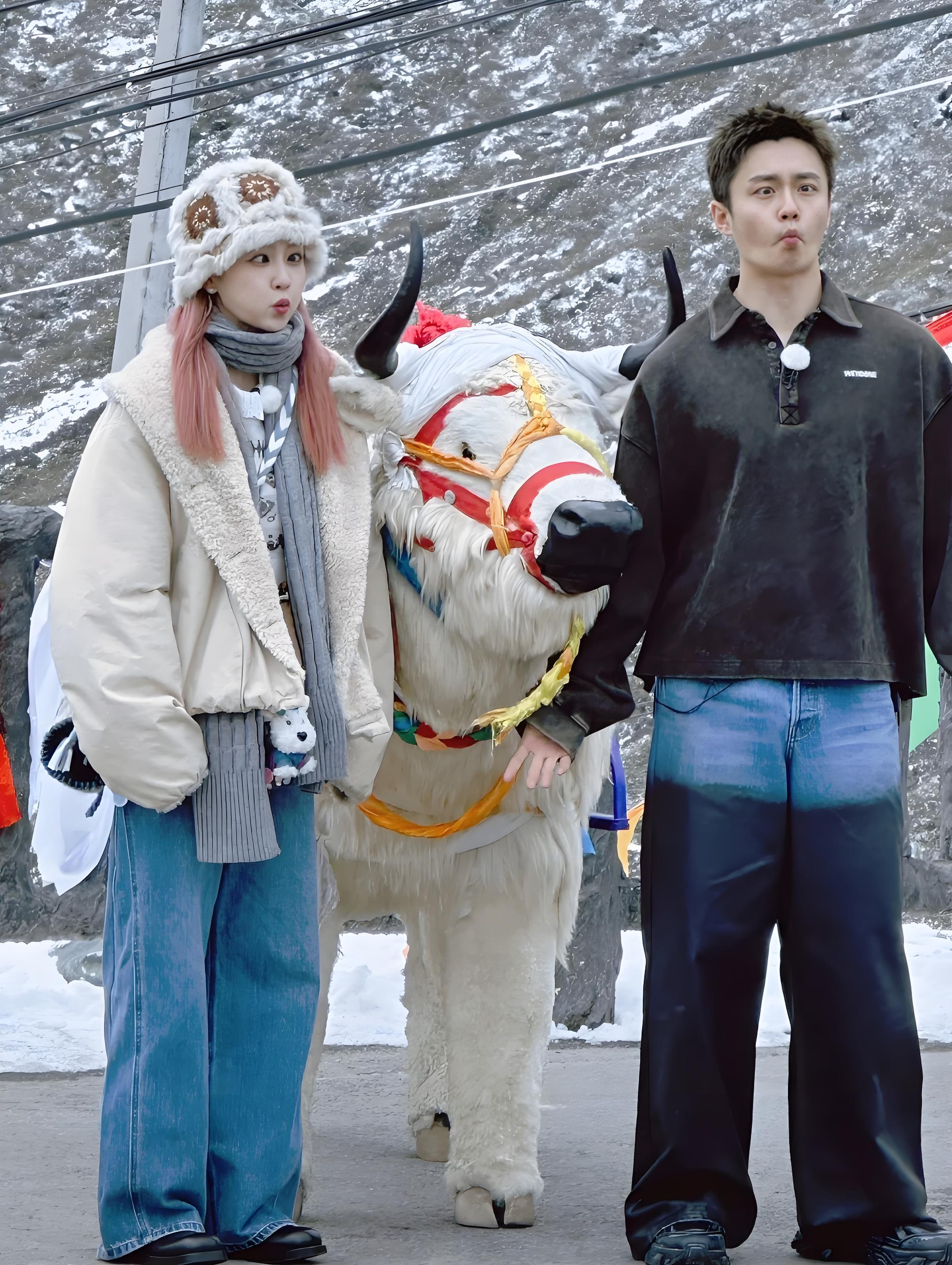 白鹿活蹦乱跳的,她应该不缺氧。其他人就不知道了。跑男在西藏确定不缺氧吗