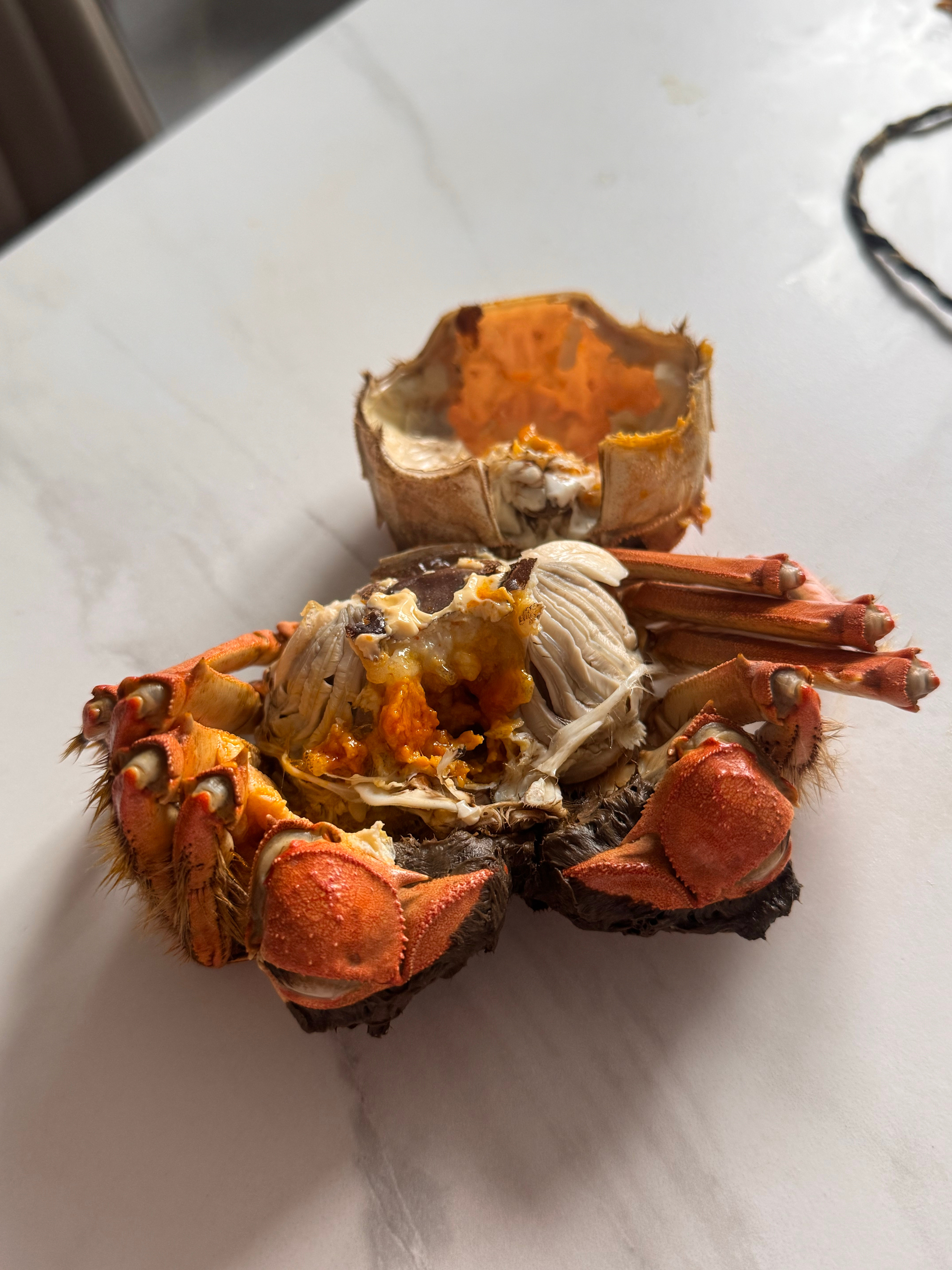 谢谢投喂！我最近几乎每天都在吃螃蟹..