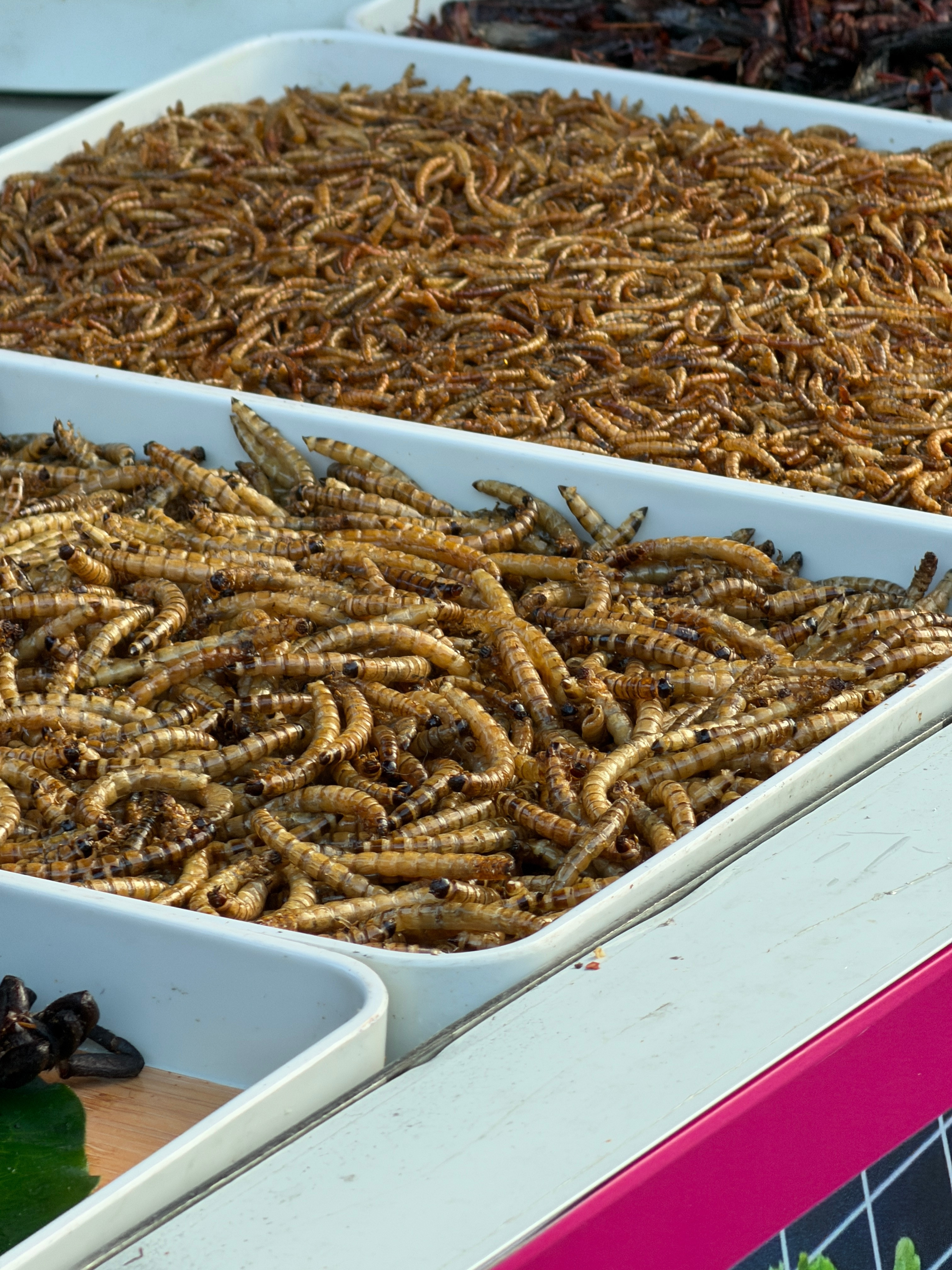 这个硬菜你敢吃吗？