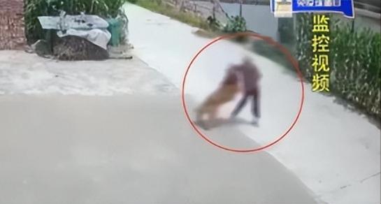 江苏，80岁的王老太散步时被邻居家的大金毛扑倒后离世，家属只要求邻居赔偿10万，