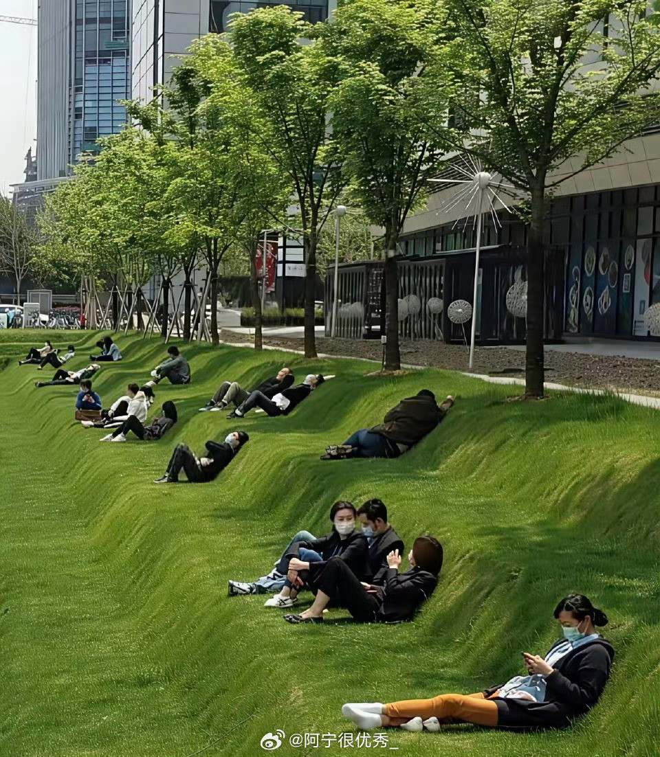 不得不说，这里的草坪太人性化了，完全符合人体工程学！