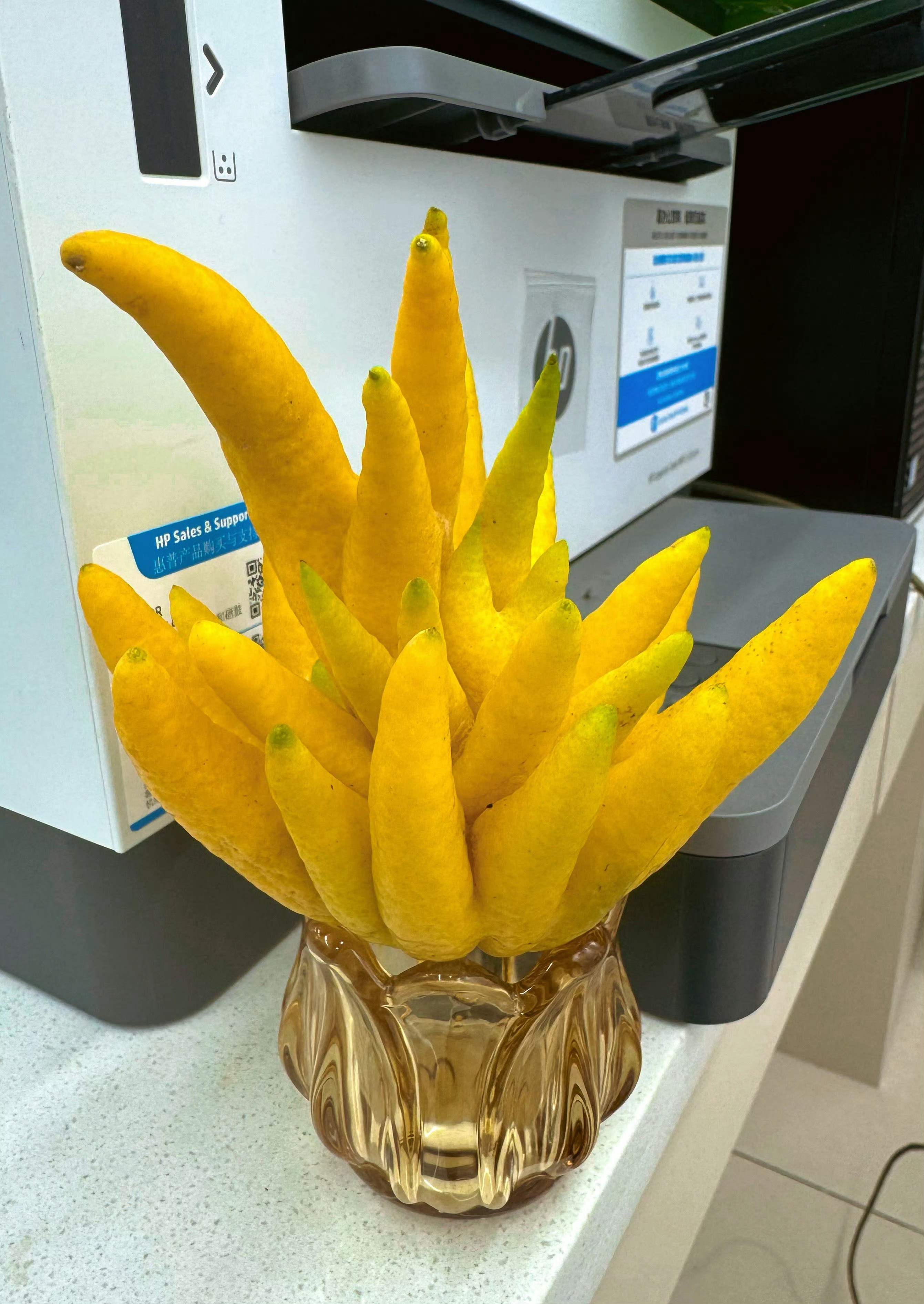 买的第二个佛手柑倒没发霉，风干了