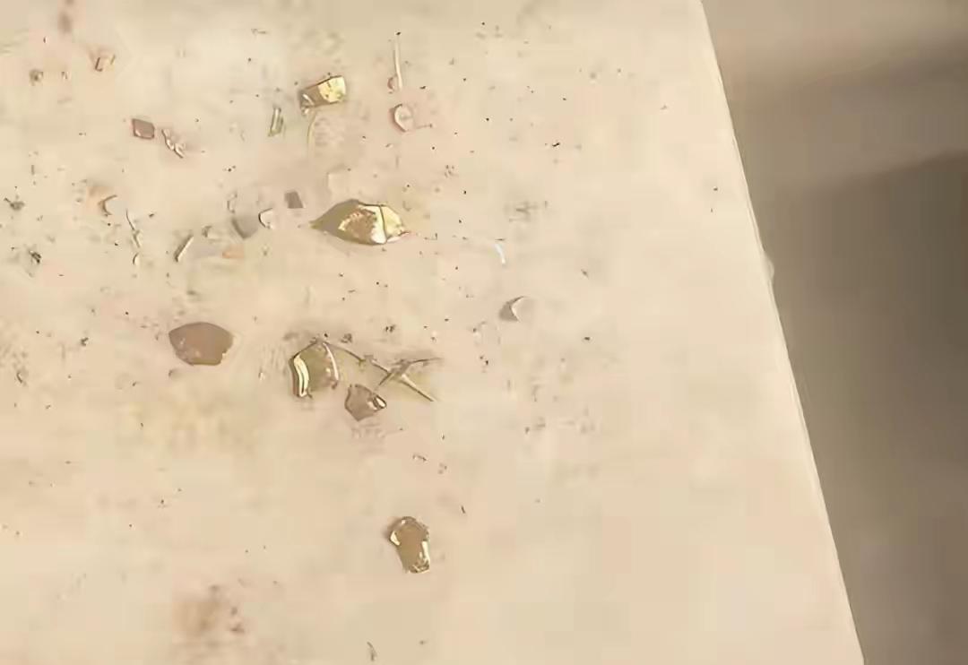 湖南一男子在自家家养的鸭子胃中发现了黄金！2026年2月26日，湖南邵阳男子