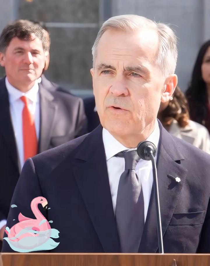 加拿大总理卡尼最近的讲话令人震惊。在年终专访中公开划定了对华交往的红线，宣称包