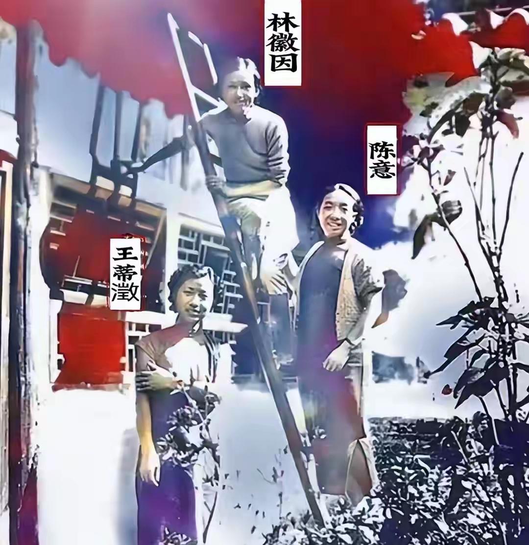 这是林徽因和王蒂澂、陈意的真实样貌，都看看吧，这可不是演员扮演的。从照片来看