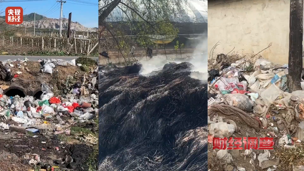 恶臭弥漫、垃圾围村! 央视曝光多地违法倾倒乱象