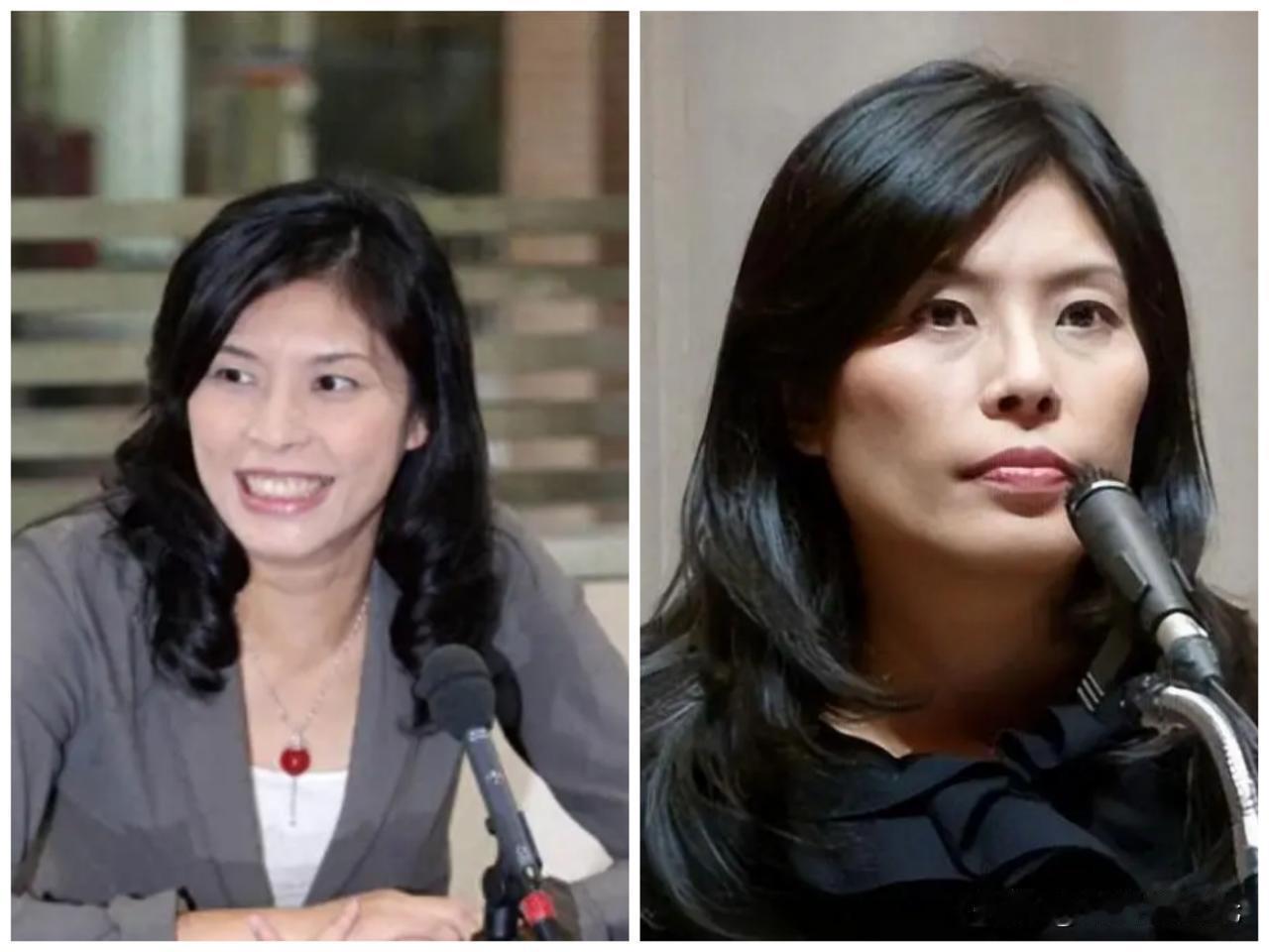 继国民党副主席季麟连表示“要坚决拥护国民党中央，坚定支持国民党主席郑丽文之后，国