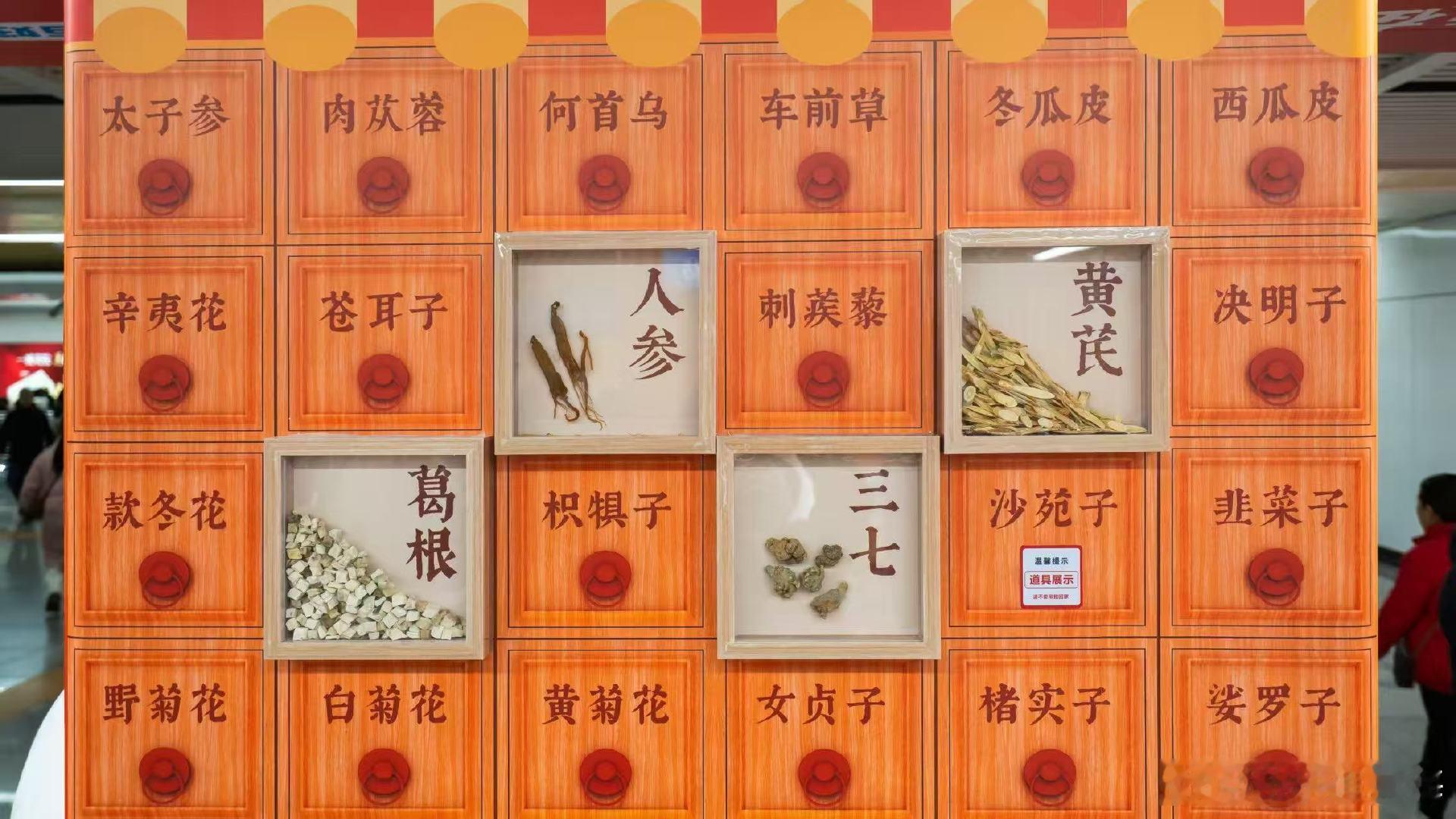 长沙通勤党狂喜！中药名居然这么有梗～黄芪“补气担当”、三七“护血管能手”、人参