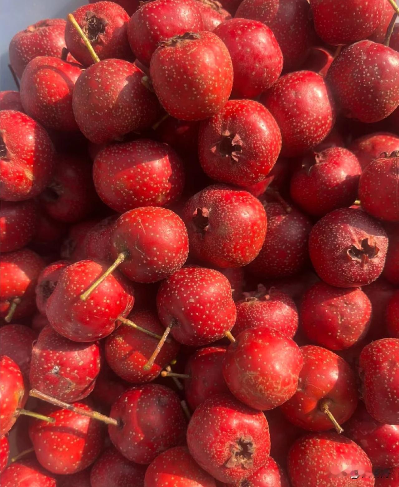 三高吃什么？这几样食物最家常一、玉米（清淡控脂，老少都适合）二、白萝卜（顺