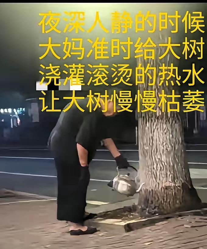 大妈这招够绝的！图中大妈，因大树挡了自家光线，便想出此招，每到夜深人静时，她准