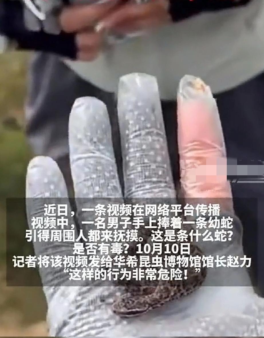 近日，一男子和驴友们爬山，遇见一条幼蛇。它蜷缩成一团，一副楚楚可怜的模样。男子不