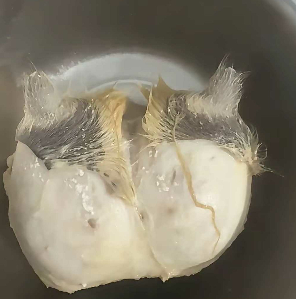 这是啥玩意？