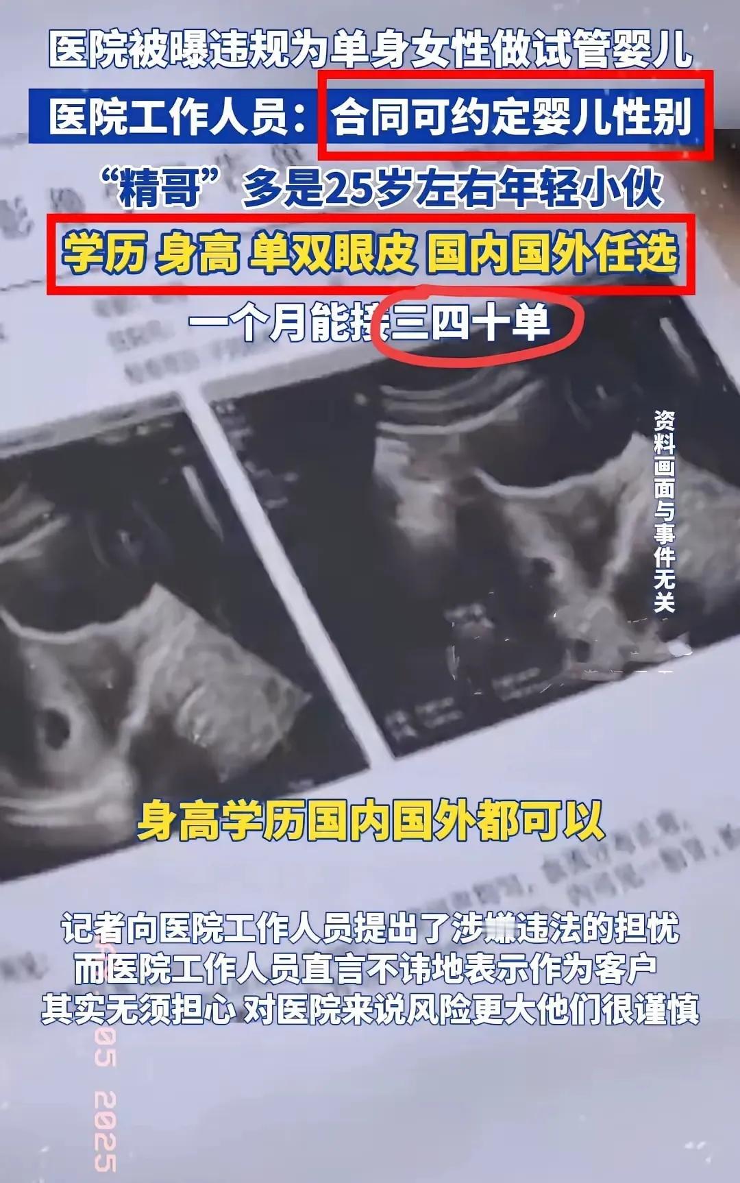为什么要现阶段禁止单身女性做试管婴儿？因为有调查流浪狗猫八成是故意遗弃的宠物。