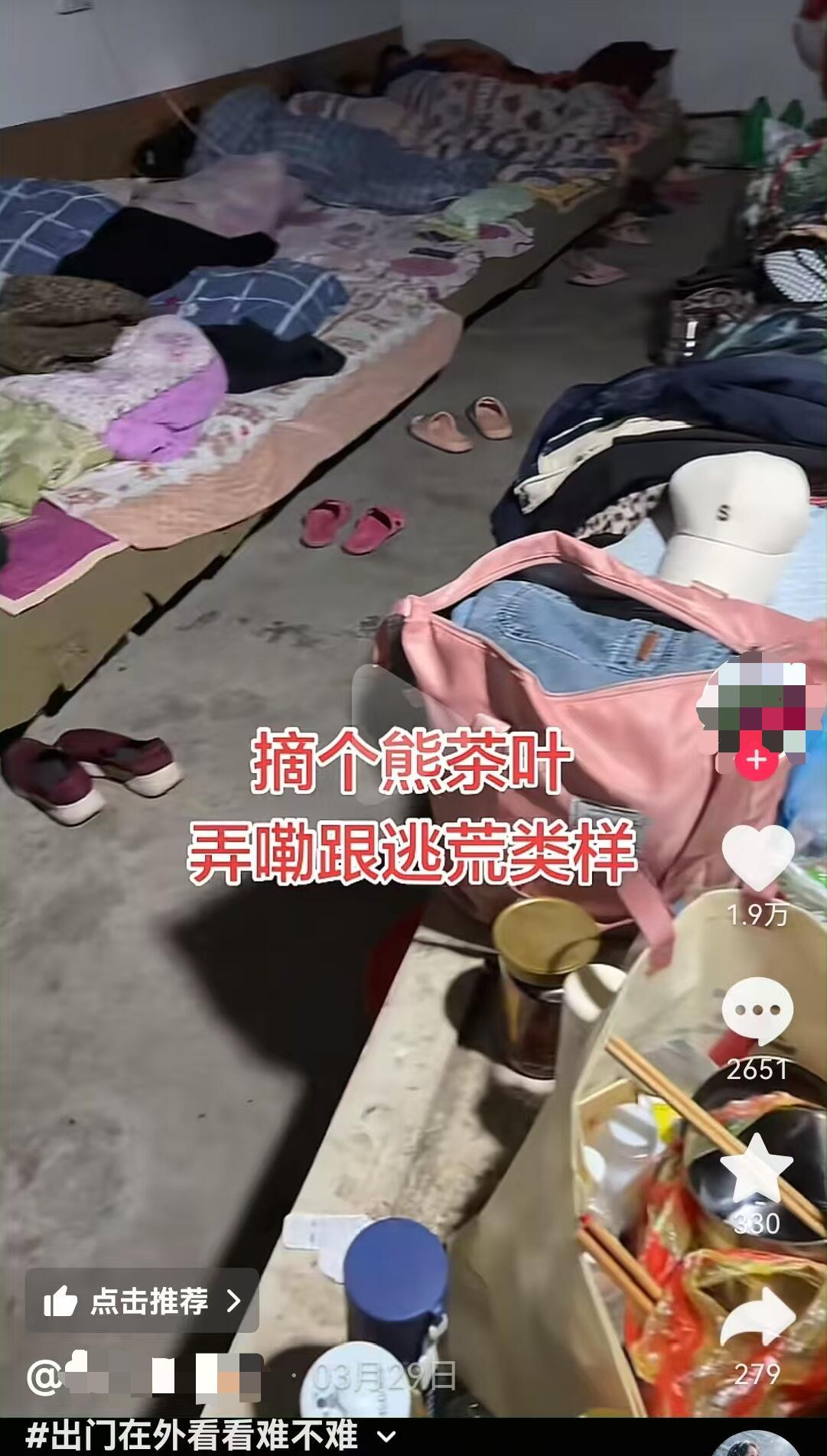 最近网上有个事，看得人心里挺堵。一群采茶女工发视频，说她们干活时老板给喝的水“又