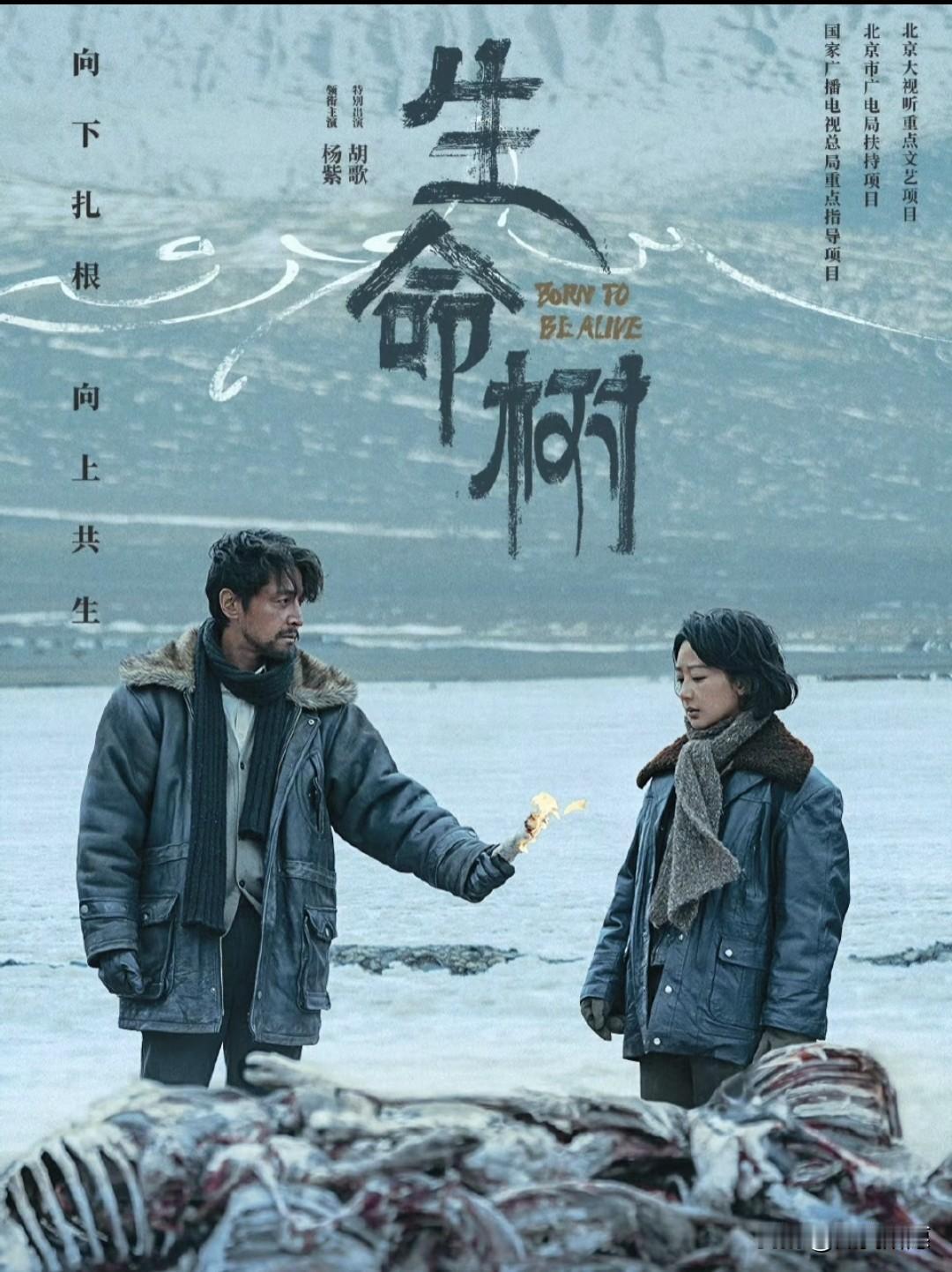 我怀疑过杨紫的演技是否被高估，也怀疑过她能否跳出“甜妹”舒适圈，直到《生命树