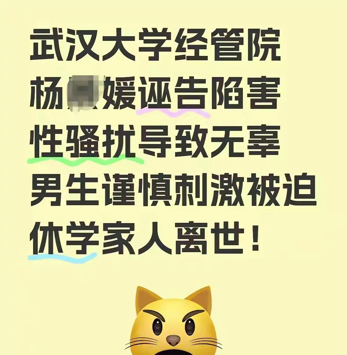 武大这个诬陷男同学的女生简直太嚣张了！这个世道到底怎么了？一个女学生怎么可以如