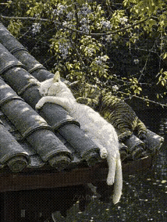 真是太惬意了，要是往里再挪挪。就更安全了。