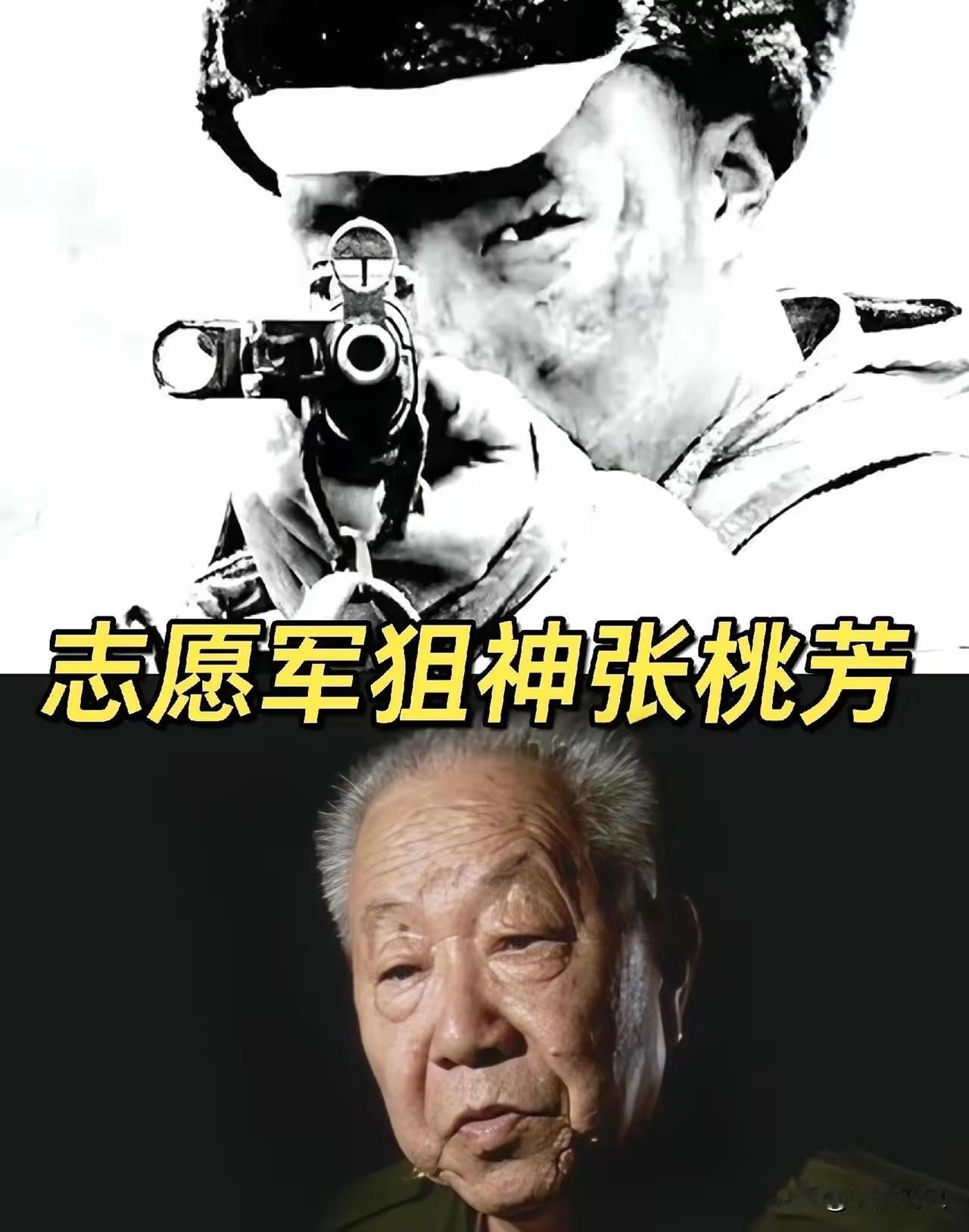 1953年，一位美国顶尖狙击手击中了一名志愿军战士，那人应声倒地，坠入战壕，然而