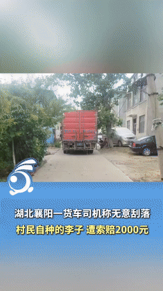 严查到底！6月18日，湖北襄阳一货车司机因“不慎”刮落30颗李子，竟被索赔200