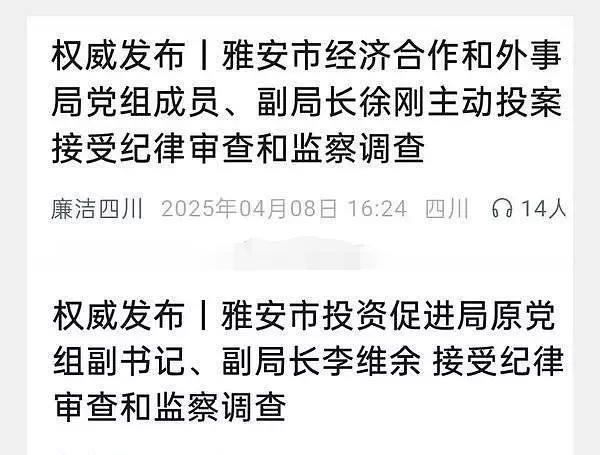 越挖越深！黄杨父亲原单位人员曾相继落马，“天价耳环”背后是否有关联？据公开信息