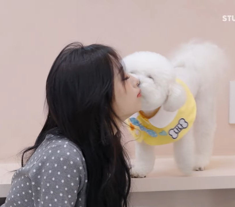 真是恭喜这只小狗了呀（后槽牙咬碎​​​