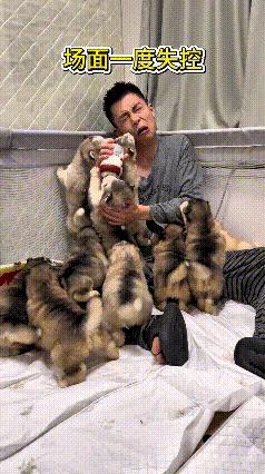 俺家帅哥一到家，啥也不干，先冲去喂小奶狗！结果喂第一条的功夫，十几只小奶狗“呼啦