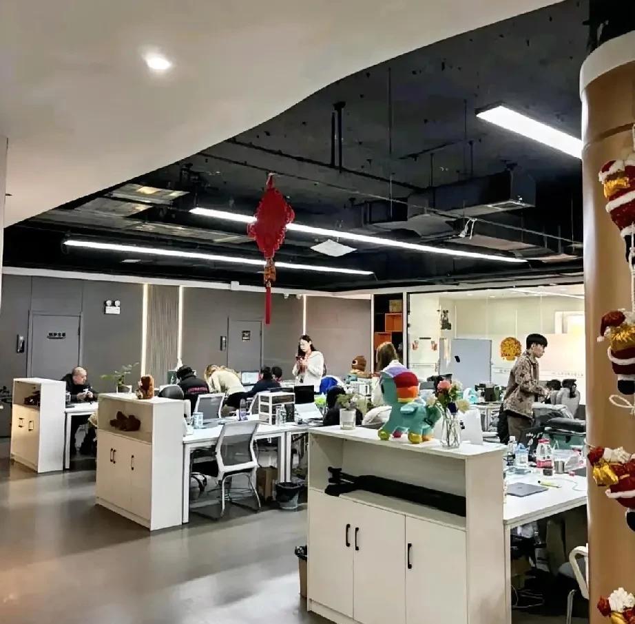 作为一个hr,我觉得被领导偶尔打个C，其实没啥：毕竟强制分布，必须有C，但是如果