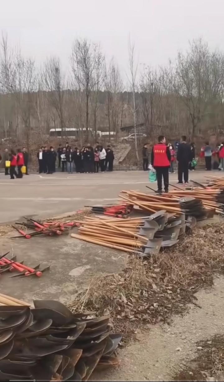 植树活动现场彩旗飘扬，动声势浩大！各种工具，衣服，红幅，矿泉水，往返车辆，树苗，