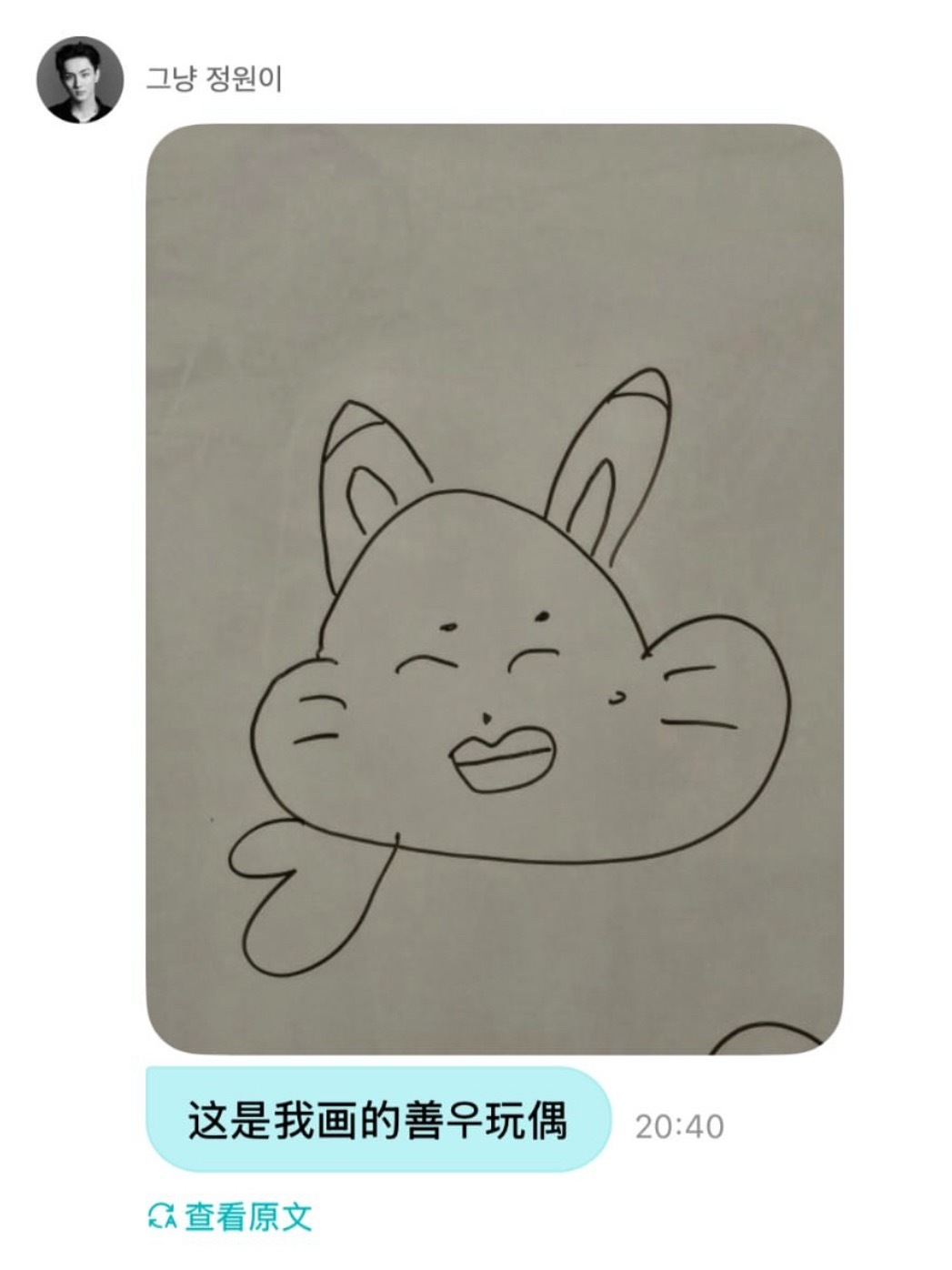 胖猫