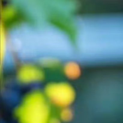 葡萄种植方法一、选址选址是种植葡萄的第一步，应当选择土地肥沃、水源充足、阳光充足