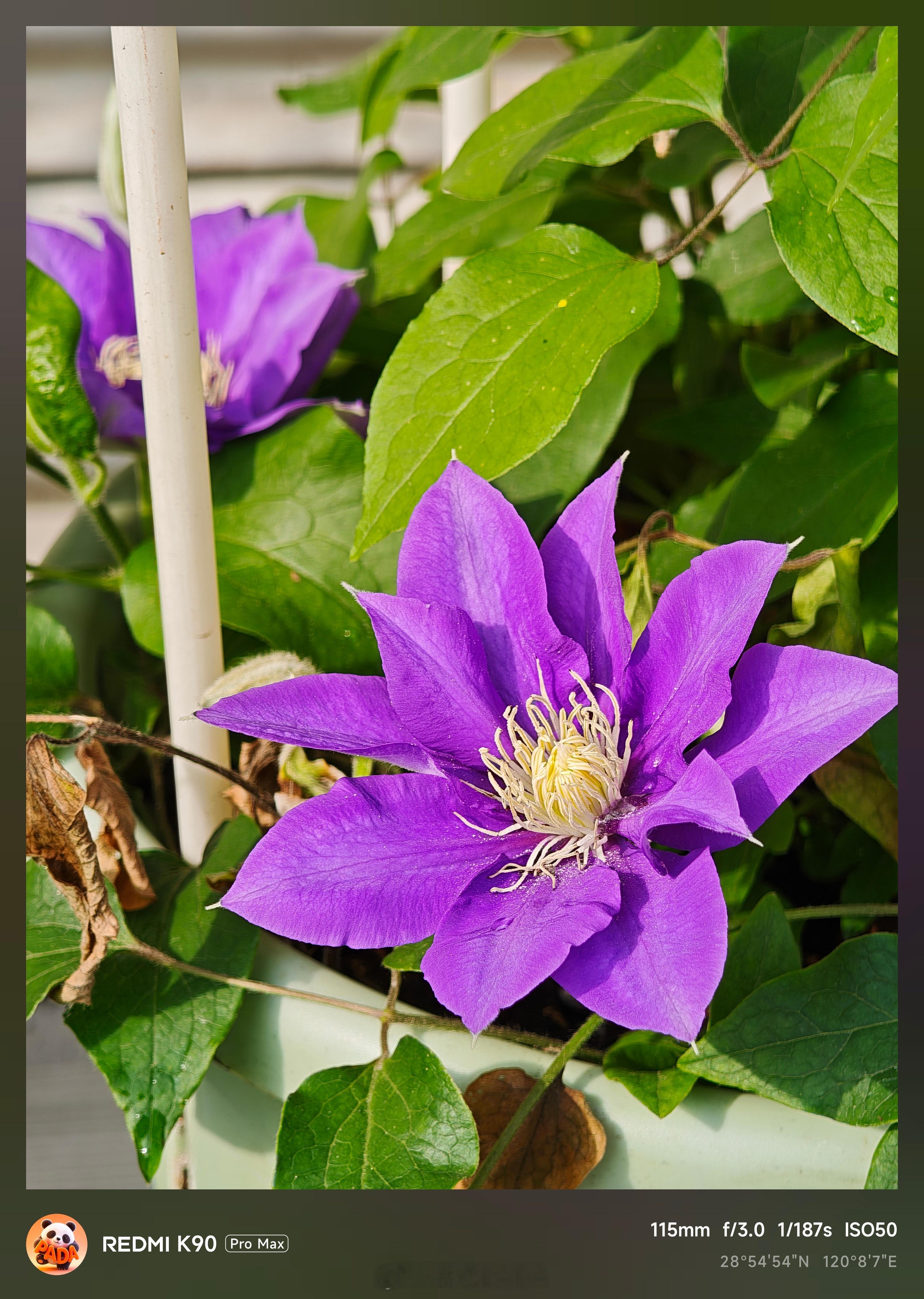 这个点出了一会会太阳！太难得了~来看看我用RedmiK90ProMax拍的