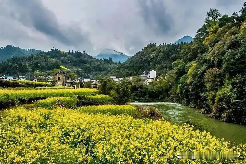 在网络上看到有网友发文：希望安徽省领导，认真地考虑一下，黄山市改名古徽州的建议。